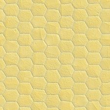 Snake Skin Stock Image Snake Skin Stock Image