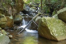 Mountain Stream With Waterfall And Fallen Branches Royalty Free Stock Photos Mountain Stream With Waterfall And Fallen Branches Royalty Free Stock Photos