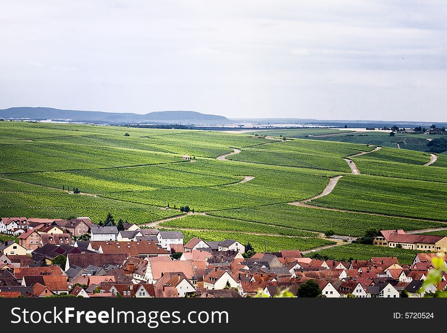 Vineyards near village