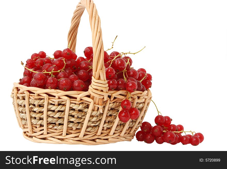 Red currant in the basket