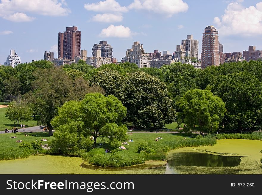 A view of high rise buildings from Central Park, NYC. A view of high rise buildings from Central Park, NYC.