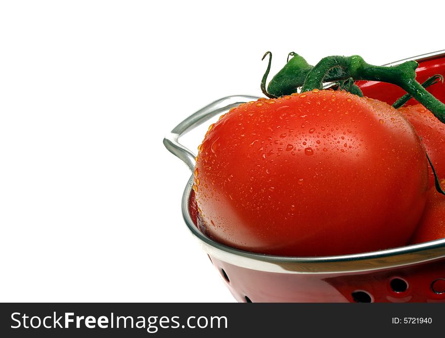 Fresh Washed Tomatoes