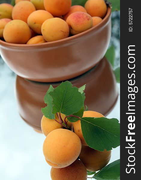 Apricots