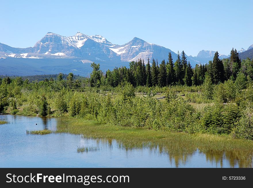 Landscapes of snow mountains, lake and flourishing forests in glacier national park, usa. Landscapes of snow mountains, lake and flourishing forests in glacier national park, usa