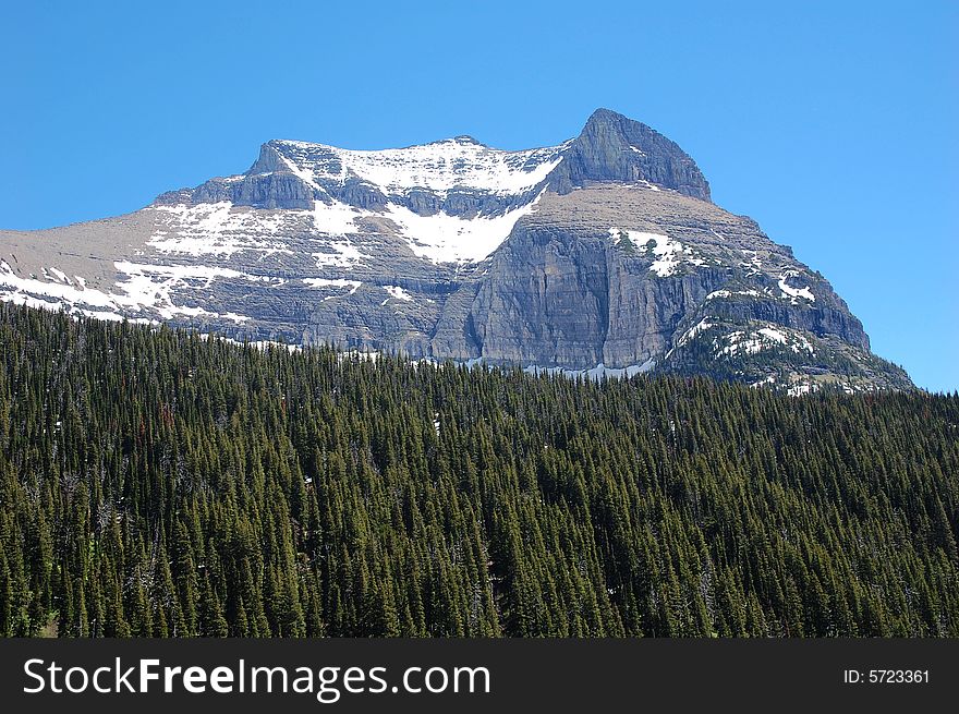 Rocky mountains and forests in glacier national park, montana, united states. Rocky mountains and forests in glacier national park, montana, united states