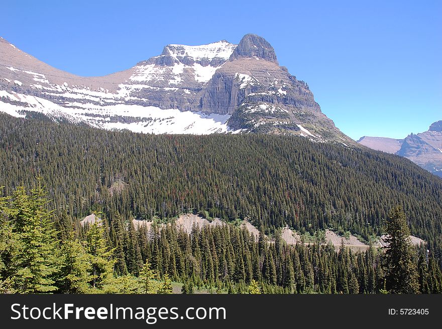 Glacier Mountian And Forests