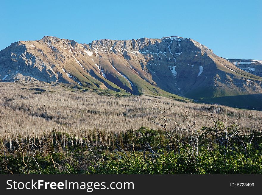 Mountains and hillside forests in glacier national park, united states