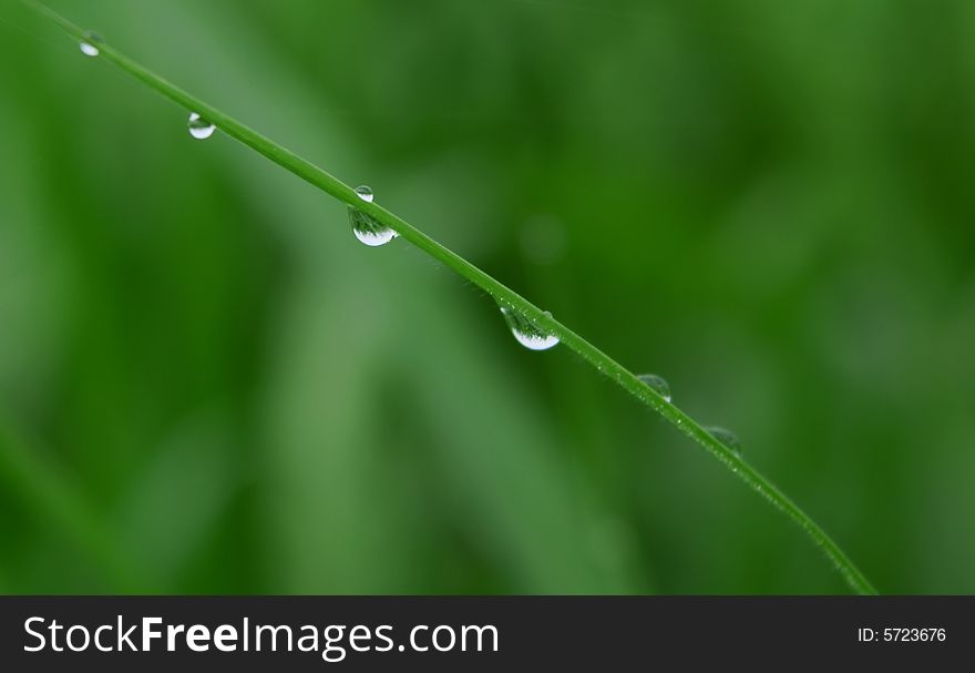 Crystal Beads On The Grass