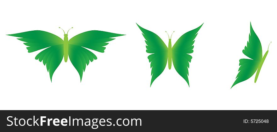 Detailed illustration of three butterflies