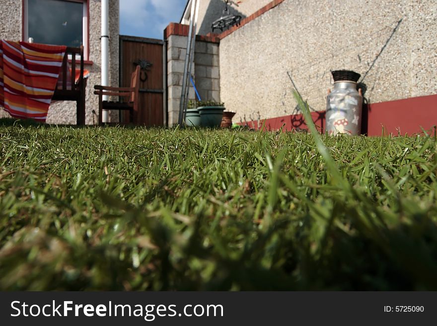 The grass in the backyard of a council estate garden. The grass in the backyard of a council estate garden