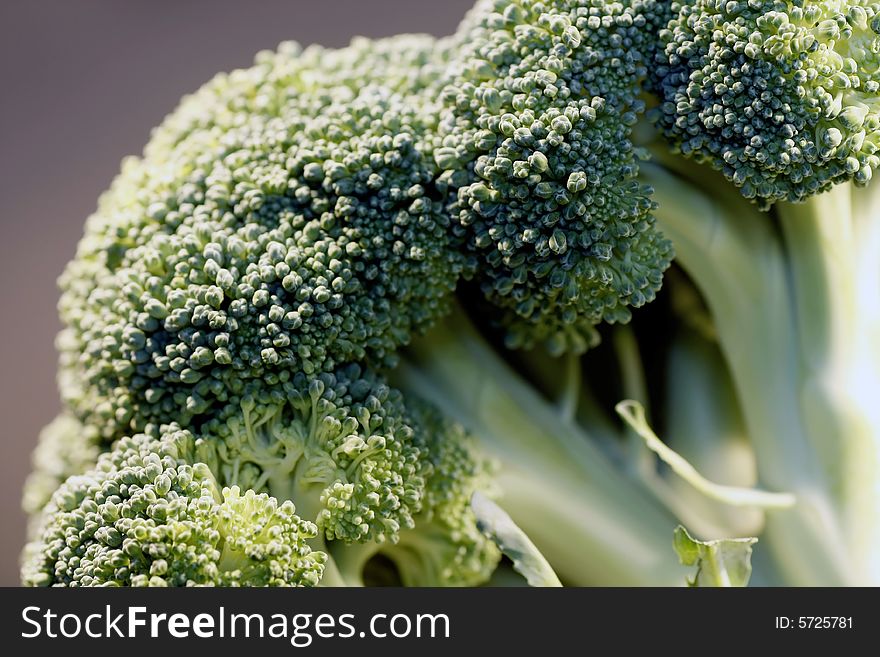 Closeup shot of some green broccoli. Closeup shot of some green broccoli.