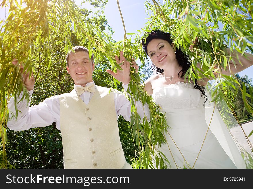 Bride and groom in the branches of the tree. Bride and groom in the branches of the tree