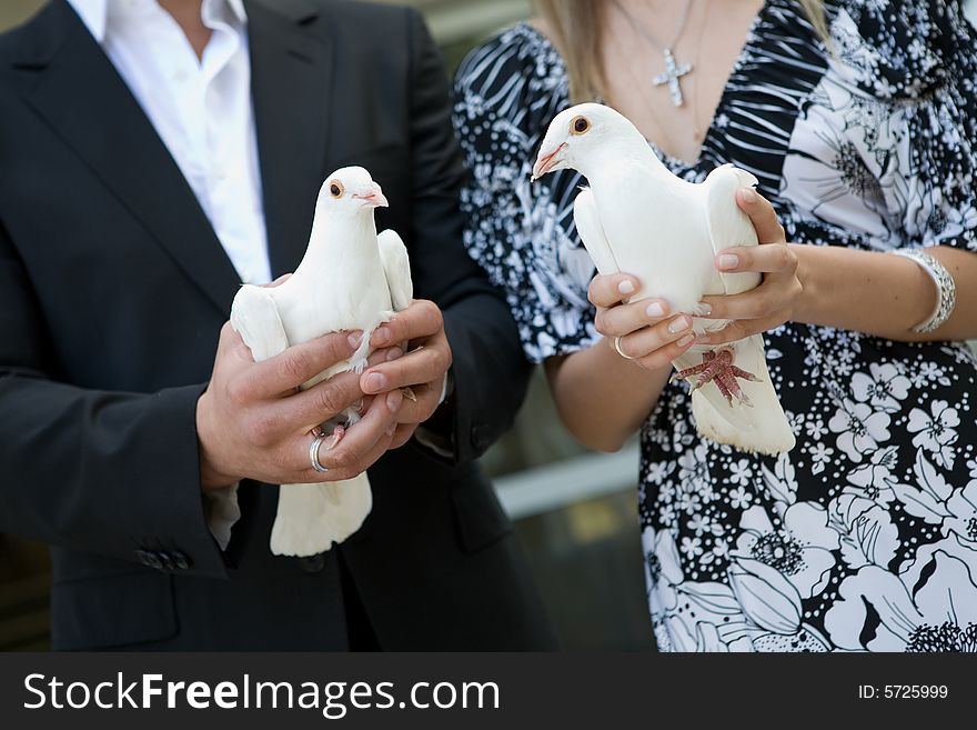 White pigeons in the hands of the girl and man. White pigeons in the hands of the girl and man