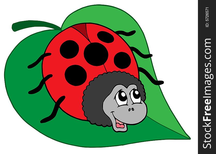 Cute ladybug on leaf - vector illustration.