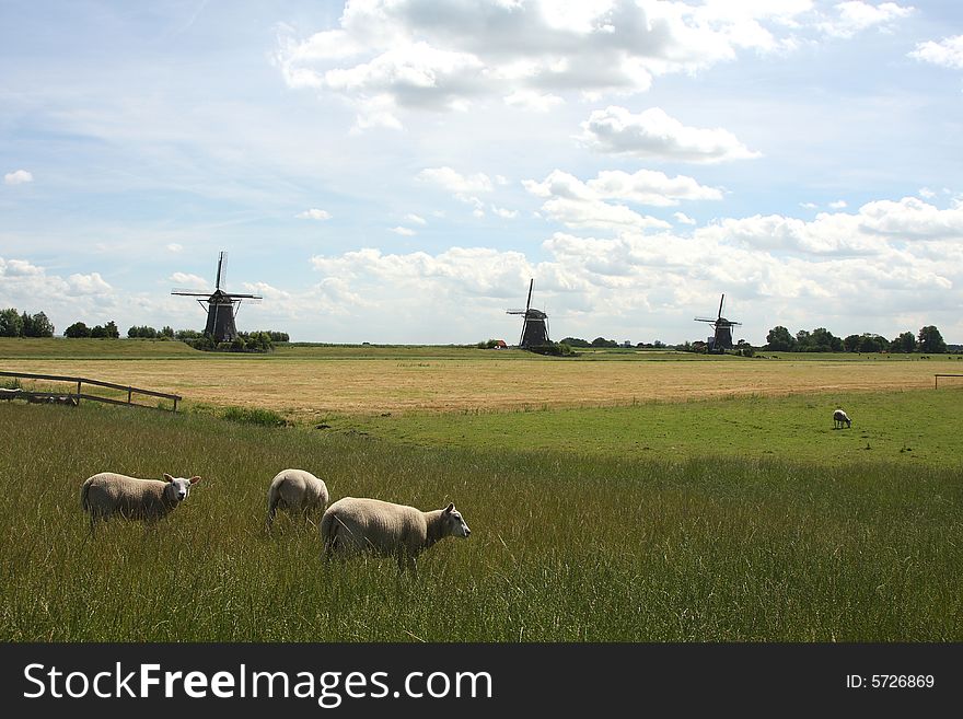 Three windmills in the Hague. Three windmills in the Hague