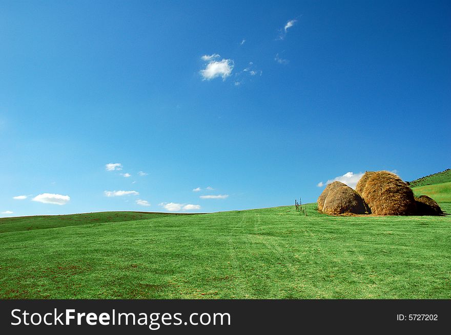 A green country field with mowed grass pressed in haystacks