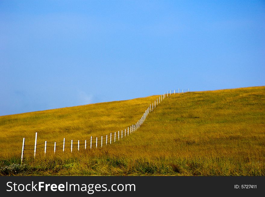 Yellow summer field divided by a white fence with blue sky