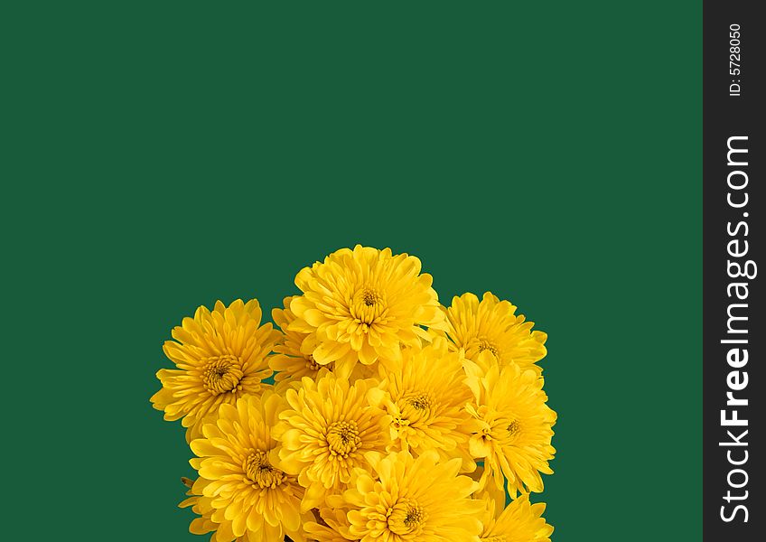 Bouquet of several yellow flowers with blue background. Bouquet of several yellow flowers with blue background