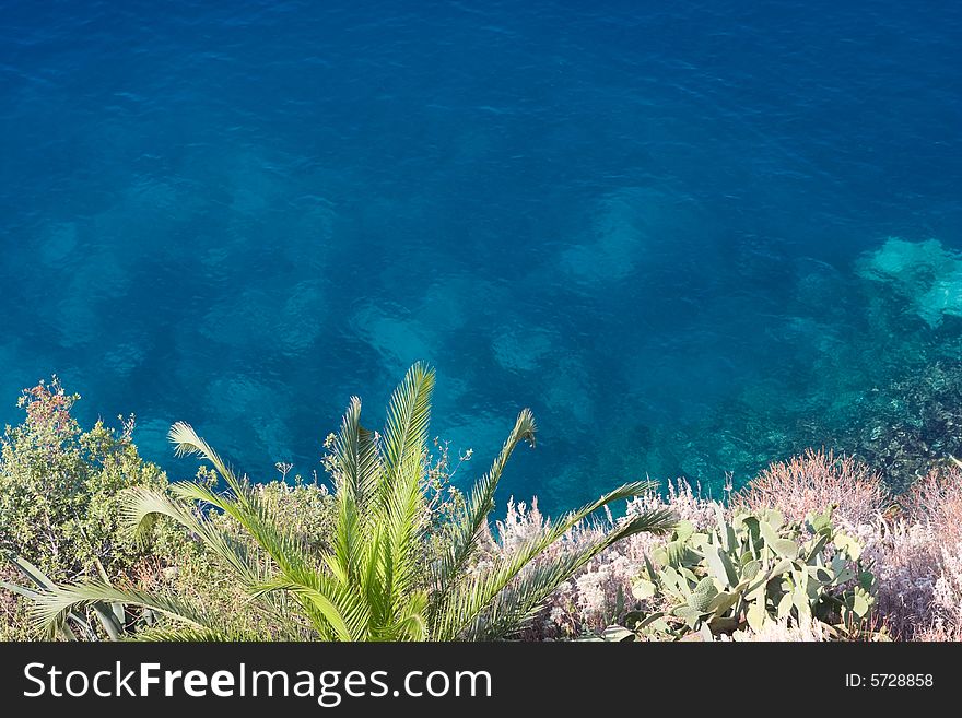 Ionic sea and palm tree background. Ionic sea and palm tree background