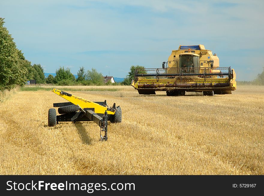 A combine harvester working in a wheat field, (focus on Tractor). A combine harvester working in a wheat field, (focus on Tractor)