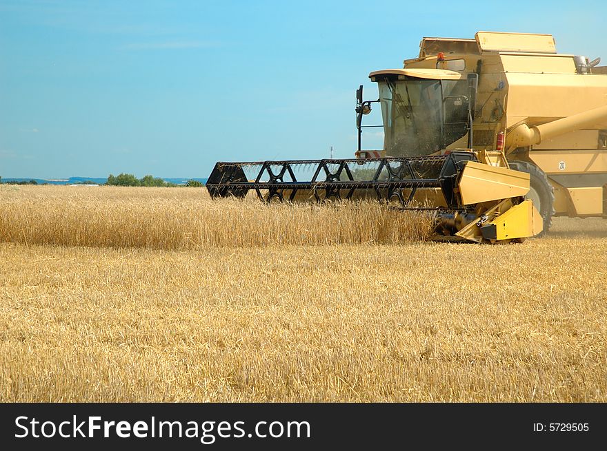 Machine Harvesting The Corn Field