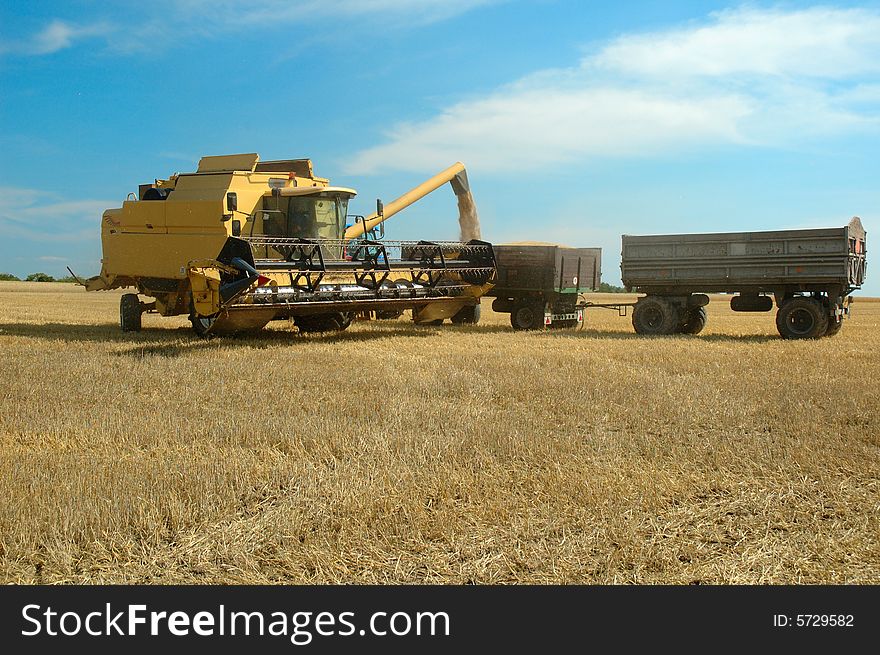 A combine harvester working in a wheat field, (focus on Tractor). A combine harvester working in a wheat field, (focus on Tractor)