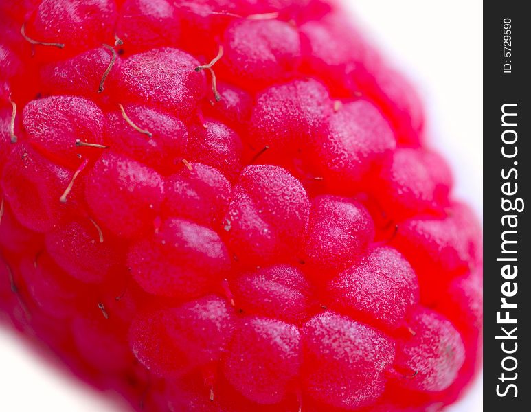 Macro of fresh raspberry - summer. Macro of fresh raspberry - summer