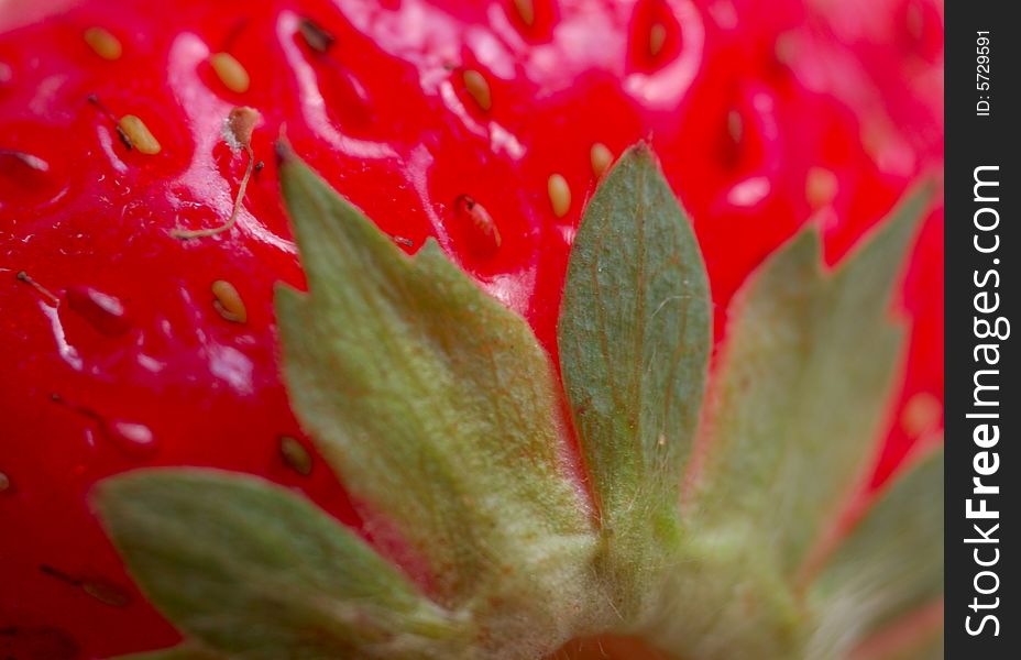 Macro of strawberry with leaves