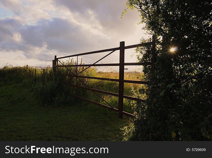 Sunset at the farm with the sun just getting through the hedge