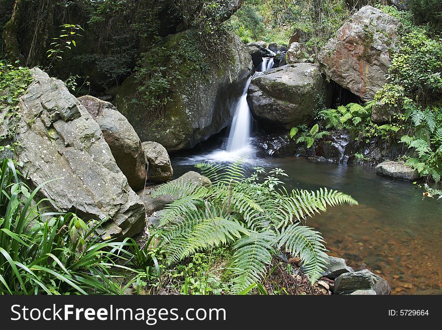 A mountain stream with ferns and a small waterfall feeding a tranquil pool. A mountain stream with ferns and a small waterfall feeding a tranquil pool.