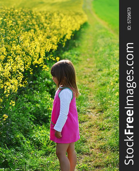 A little girl looking on a ripe field. A little girl looking on a ripe field