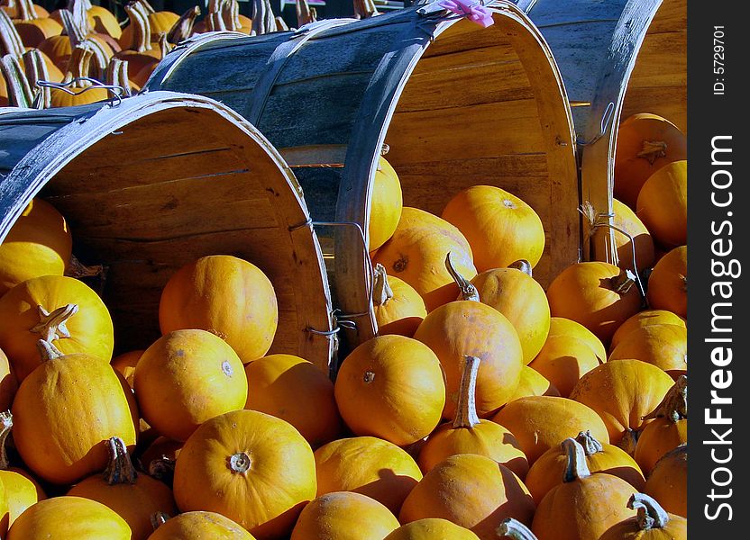 Baskets of pumpkins ready for sale at the country stand. Baskets of pumpkins ready for sale at the country stand