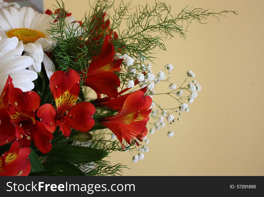 Bouquet of chamomiles and red orchids on beige background. Bouquet of chamomiles and red orchids on beige background