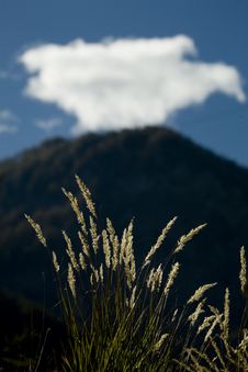 Mountain Royalty Free Stock Images Mountain Royalty Free Stock Images