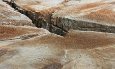 Wood Trunk Crevice Royalty Free Stock Photos Wood Trunk Crevice Royalty Free Stock Photos