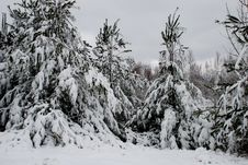 Winters Chill 2 Stock Photography Winters Chill 2 Stock Photography