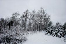 Winters Chill 6 Stock Image Winters Chill 6 Stock Image