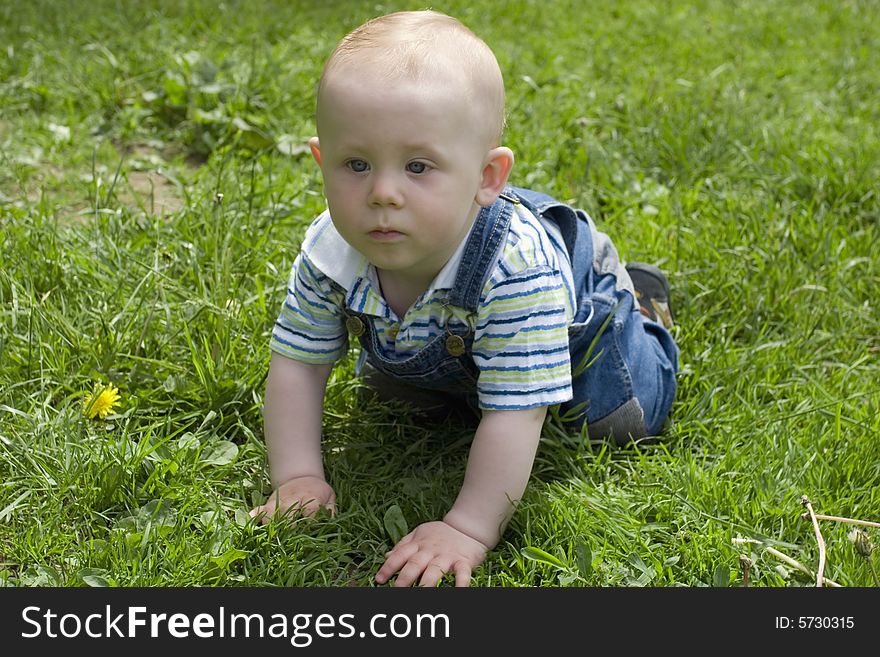 The kid creeping on a grass in the park. The kid creeping on a grass in the park