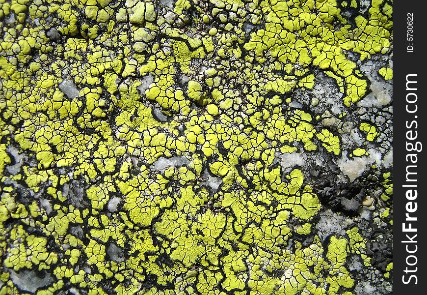 Mad geometry on the surface of a granite rock. Mad geometry on the surface of a granite rock