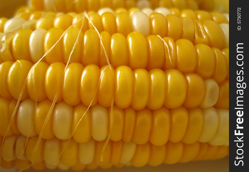 Close up view for sweet corn