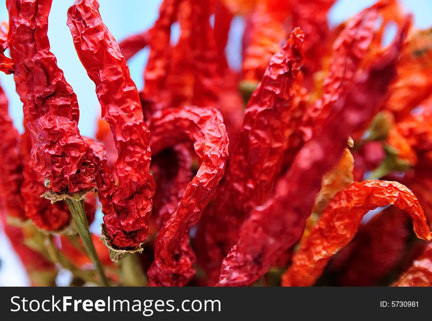 Dried red peppers composition with pale background