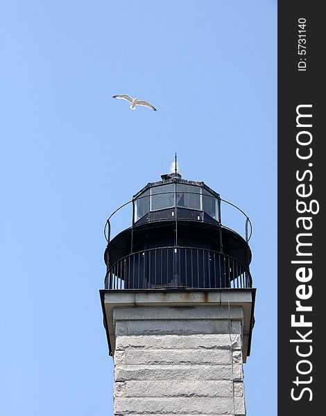 A gray concrete lighthouse with a seagull flying overhead