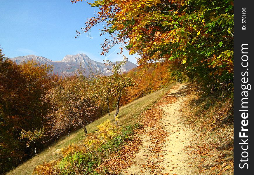 Autumn landscape in southern Carpathians. Autumn landscape in southern Carpathians