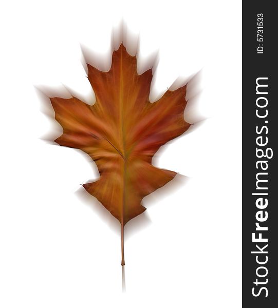 A large maple leaf composed of autumn colors and a sense of motion. A large maple leaf composed of autumn colors and a sense of motion