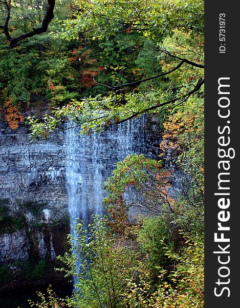 Waterfall In A Forest