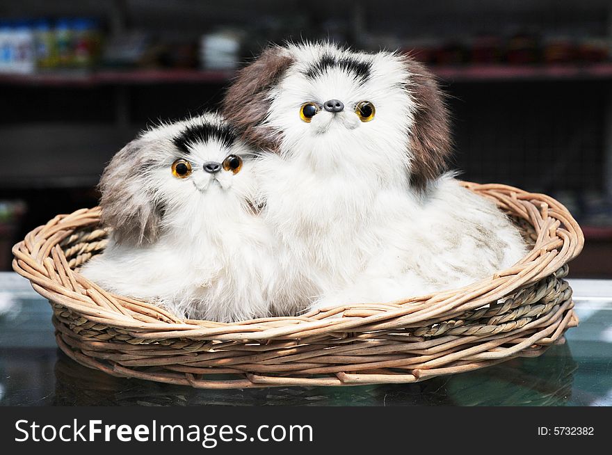 The Woolen Puppies In A Basket