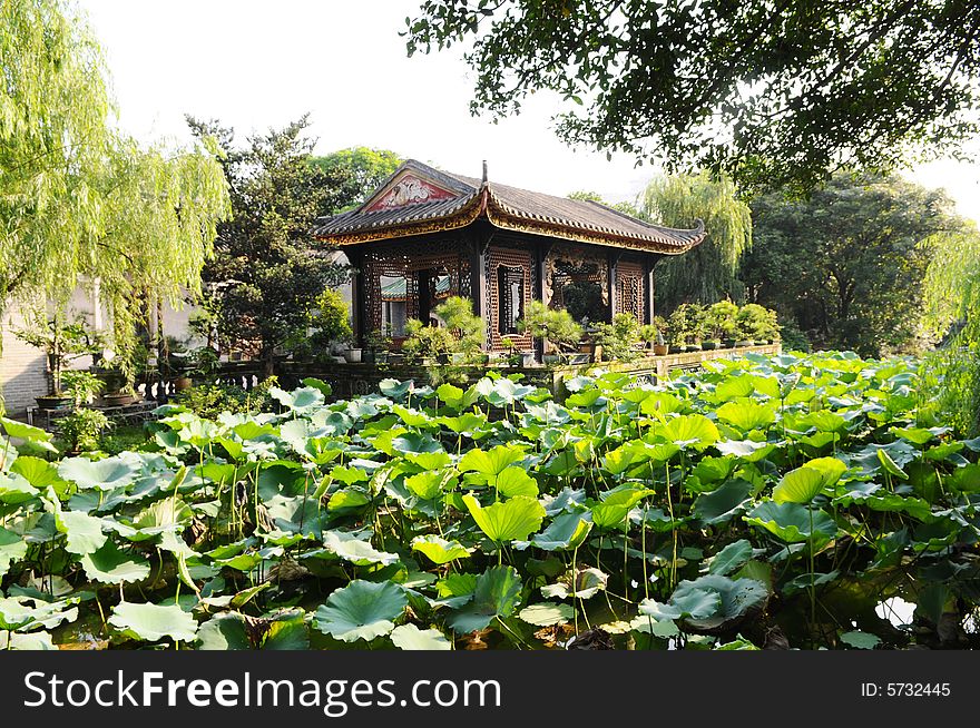 The summer house and louts flower pond in an ancient Chinese garden,Foshan,Guangdong,South China. The summer house and louts flower pond in an ancient Chinese garden,Foshan,Guangdong,South China.