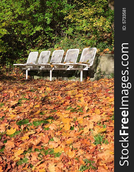 White park benches in autumn