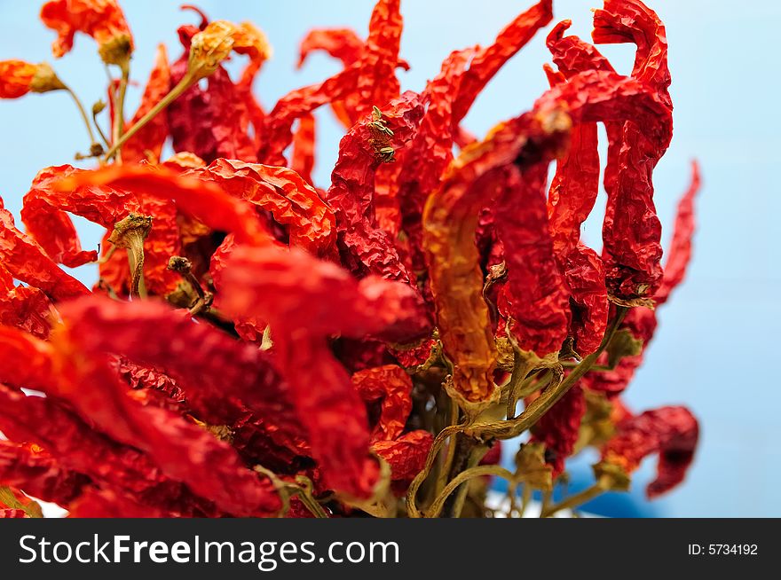 Dried red peppers composition with pale background. Very piquant ones. Dried red peppers composition with pale background. Very piquant ones.