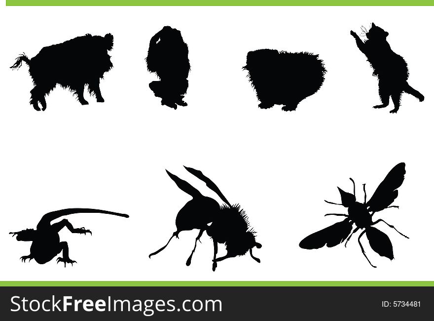 Vector silhouettes of different animals. Vector silhouettes of different animals